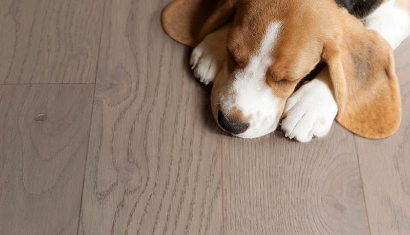 比利時PARKY高科技實木復合地板,進口地板,環(huán)保地板