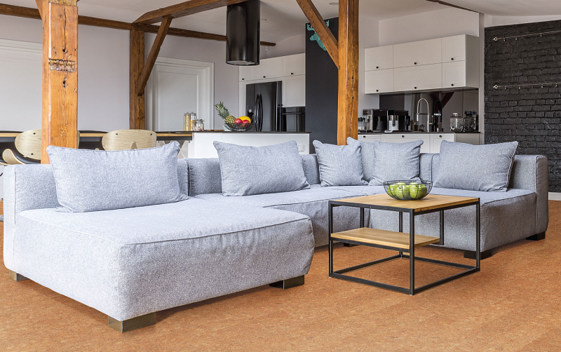 得高Wise軟木環(huán)保地板,呵護(hù)你的冬天 圖片1 得高Wise軟木環(huán)保地板,呵護(hù)你的冬天 圖片1