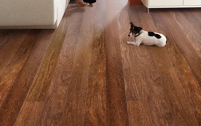 得高Parky進(jìn)口地板，給家居添上藝術(shù)底色 圖片1