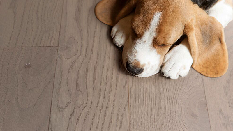 得高環保地板嚴標準、高品質! 圖片7 得高環保地板嚴標準、高品質! 圖片7