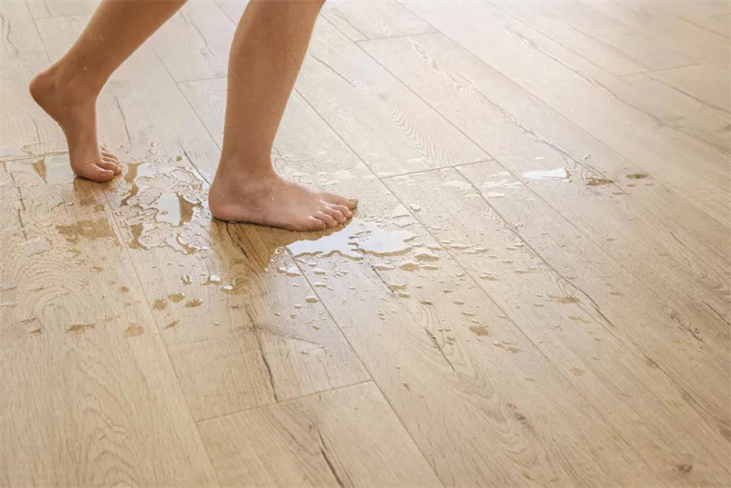 家居地板界“卷”起來了?得高地板的那些驚艷之作 圖片 4 家居地板界“卷”起來了?得高地板的那些驚艷之作 圖片 4