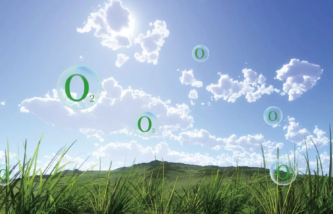 如何養(yǎng)成智慧大腦，讓我們一起探索其中的奧秘 image2